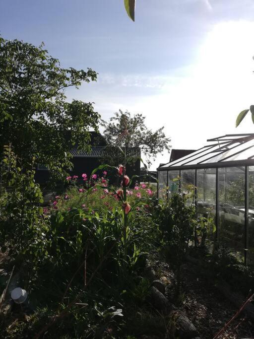 De Kaasmakerij - Ruim Vakantiehuisje Op Huize Blokland Hem Dış mekan fotoğraf